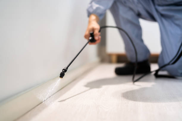 Licensed Pest Control service in Linden, TX - Show Me Pest Control