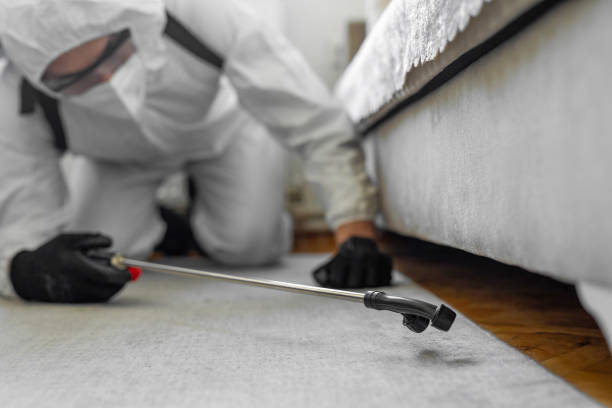 Professional Ant Control technician working in Linden, TX