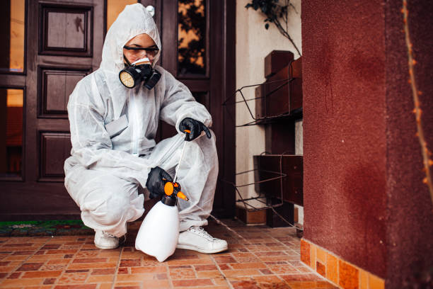 Reliable Ant Control contractor in Linden, TX by Show Me Pest Control